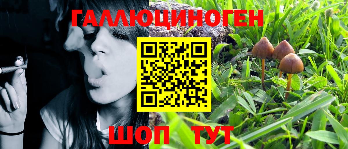 Лесной  купить   Вход с VPN  Псилоцибиновые грибы MAGIC MUSHROOMS 