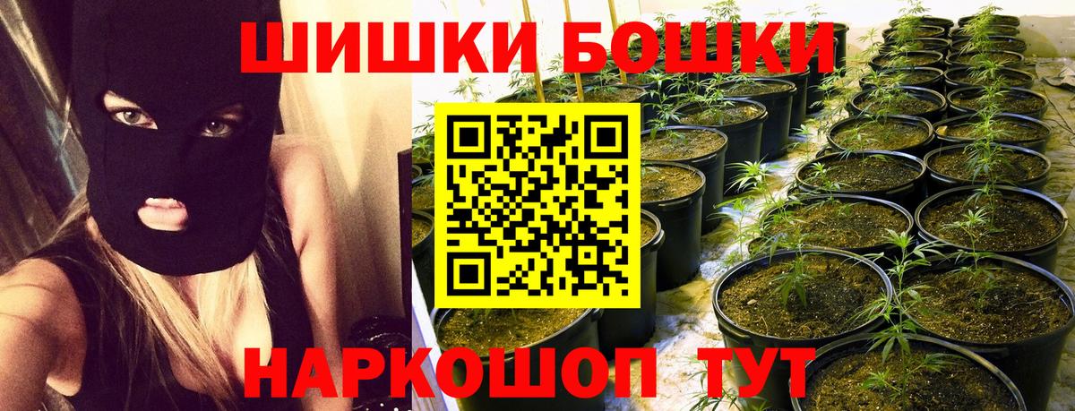 Лесной  Бошки марихуана сатива  Канабис сатива  Каннабис SATIVA & INDICA  Шишки марихуана VHQ  Вход с VPN 